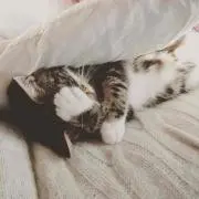 もくもくの画像