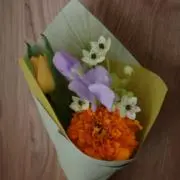 apricot7の画像