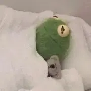 ののの画像