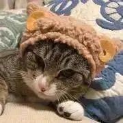 ちぃたん