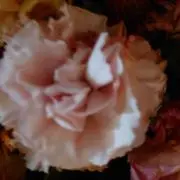 菜々子プロフィール確認してね。
