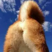 まむ★プロフ必読の画像