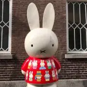 ヨーコの画像