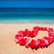 aloha