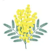 ☘️くろむぎ☘️即日対応☘️送料無料☘️