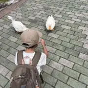 pi.mamaの画像