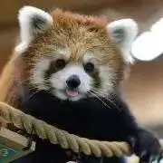 ふみや（挨拶不要、値下げ不可）の画像