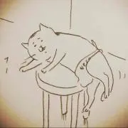 めめさん