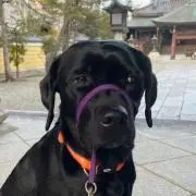 ひまりのかぁちゃん