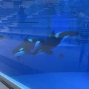 りょべの画像
