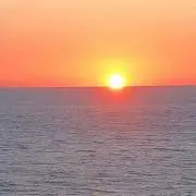 ( ¨̮ )