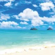 Fuuuna☘️お家整理✨の画像