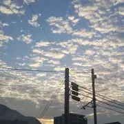 ビギナーの画像