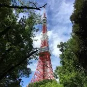 丸子の画像