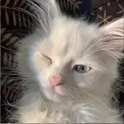 ゆっちゃんの画像