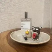 かたつむりの画像