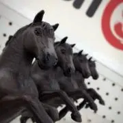 れんれんの画像