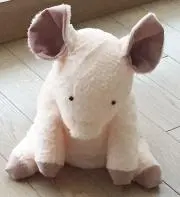 うんぱっぱ♫の画像