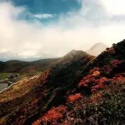 ふみふみ