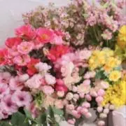 M  プロフ参照願いますの画像