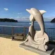 ミキの画像