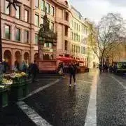 ルイの画像