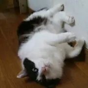 mmm 値下げ交渉OKです