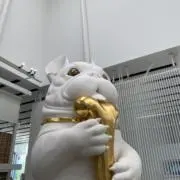 大学生の画像