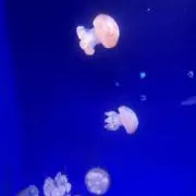 728の画像