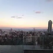 レモンの画像
