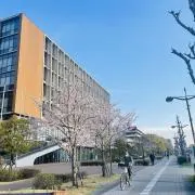 TSの画像