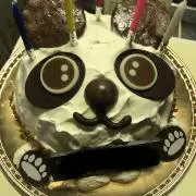 ゆーきの画像