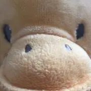 カピバラ