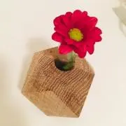 Haruの画像