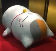 こじょるの画像