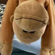 てい茶°の画像
