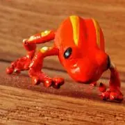 ぷちチョコパイ