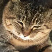 な。の画像