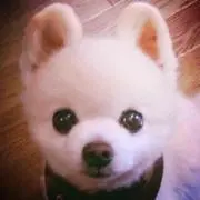 プロフ必読