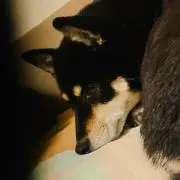 chi〜☆