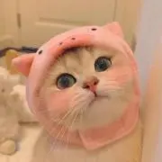 天然記念物の画像