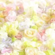ＨＡＬ⌣̈⃝ ⋆の画像