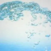カーターの画像