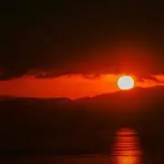 樋渡直樹の画像