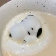Rの画像
