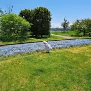P⭐︎必ずプロフ読んでから購入下さいの画像