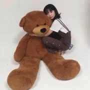 Yの画像