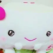 tofu@プロフ必読/断捨離中の画像