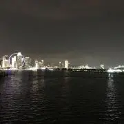 ささの画像
