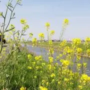富流KENの画像